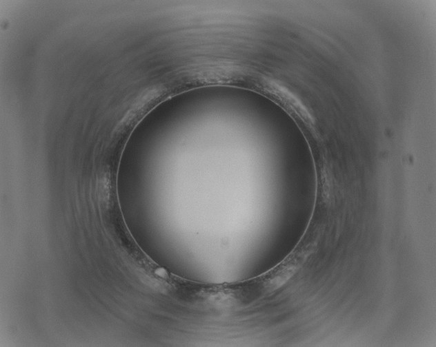 X0000074940113200609081401