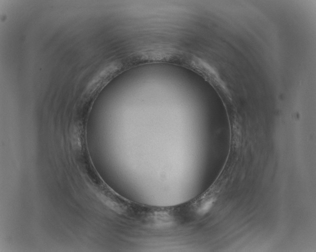 X0000074940114200609081401