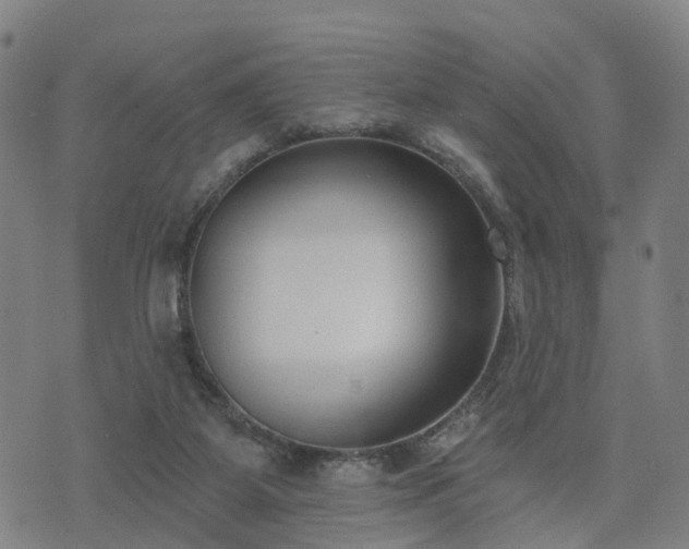 X0000074940115200609081401