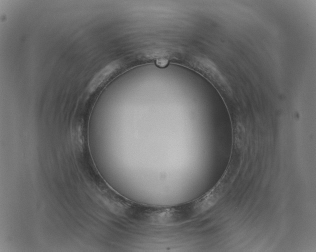 X0000074940116200609081401