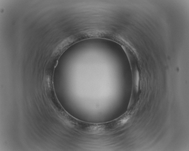 X0000074940117200609081401