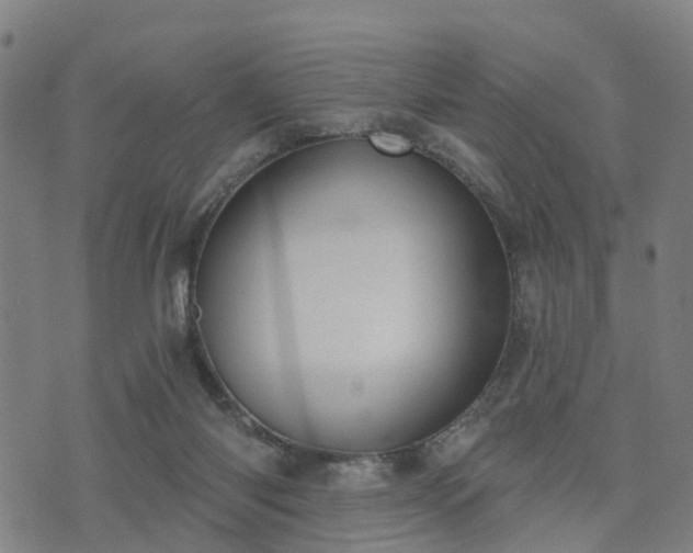 X0000074940118200609081401