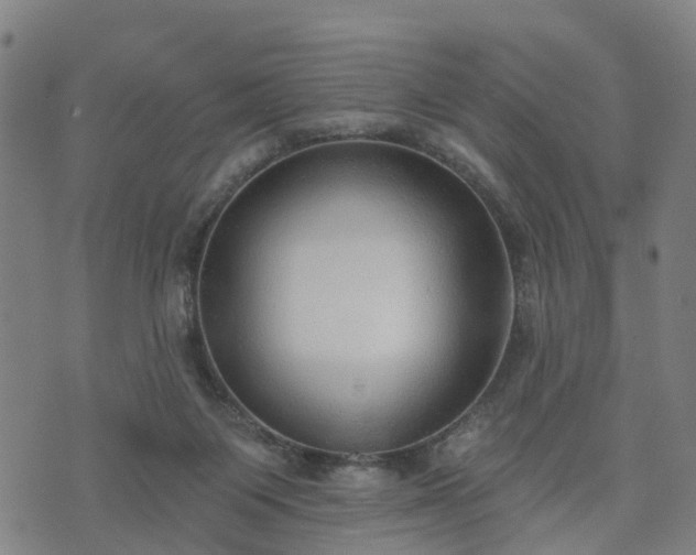 X0000074940119200609081400