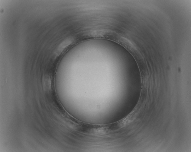 X0000074940120200609081400