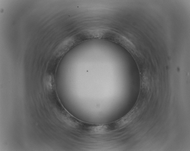 X0000074940122200609081400