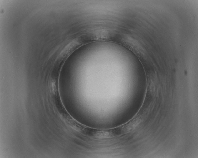 X0000074940123200609081400