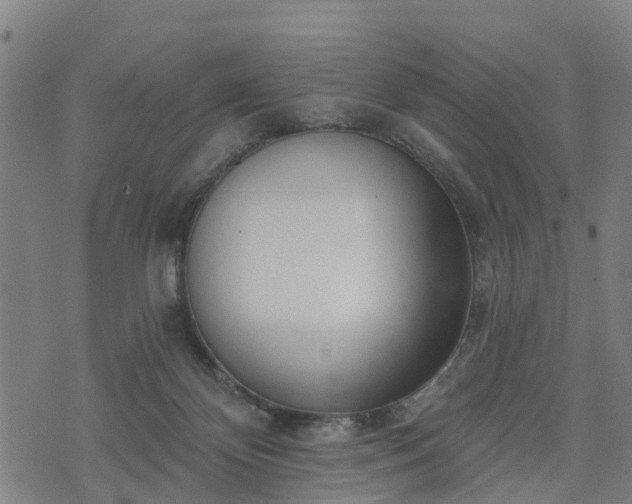 X0000074940124200609081400