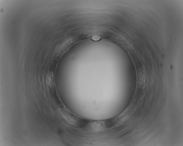 X0000074940126200609081400