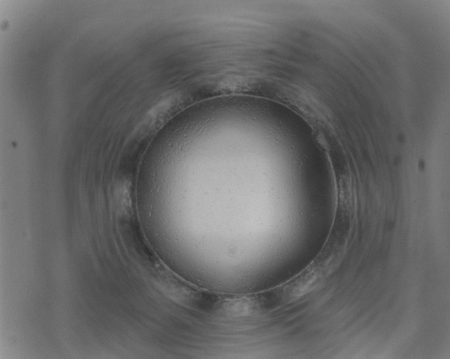 X0000074940127200609081400