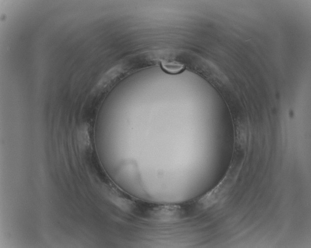 X0000074940128200609081400