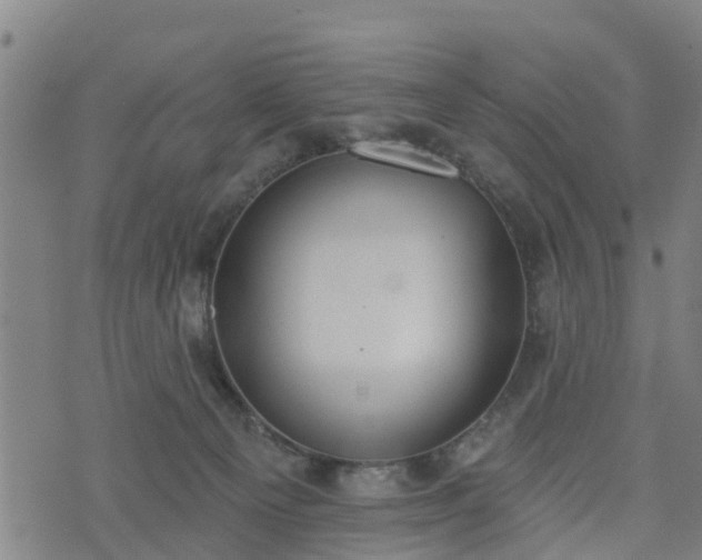 X0000074940129200609081400