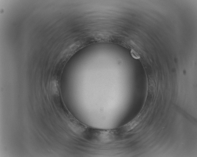 X0000074940130200609081400