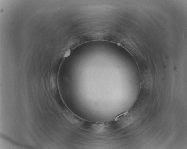 X0000074940131200609081400