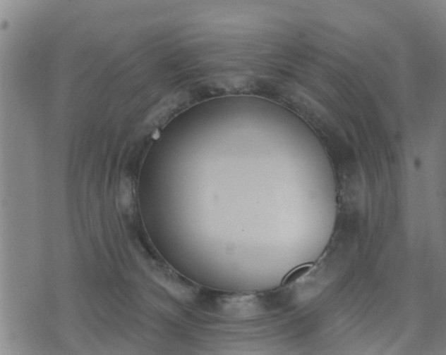 X0000074940132200609081400