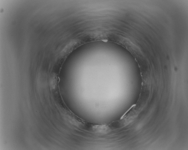 X0000074940133200609081400