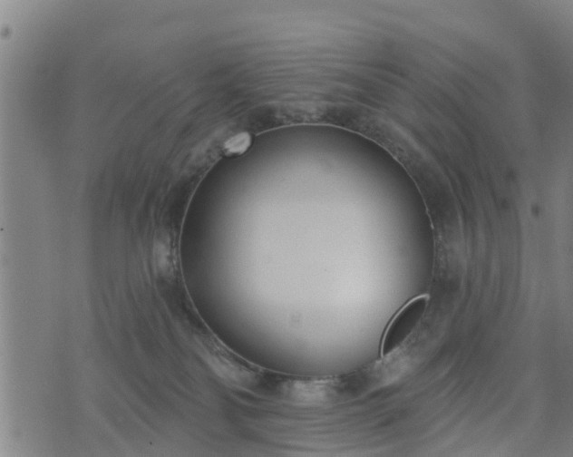 X0000074940134200609081400