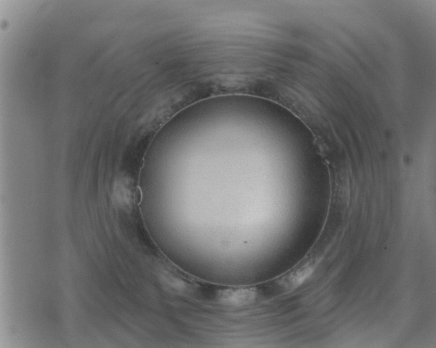 X0000074940135200609081400