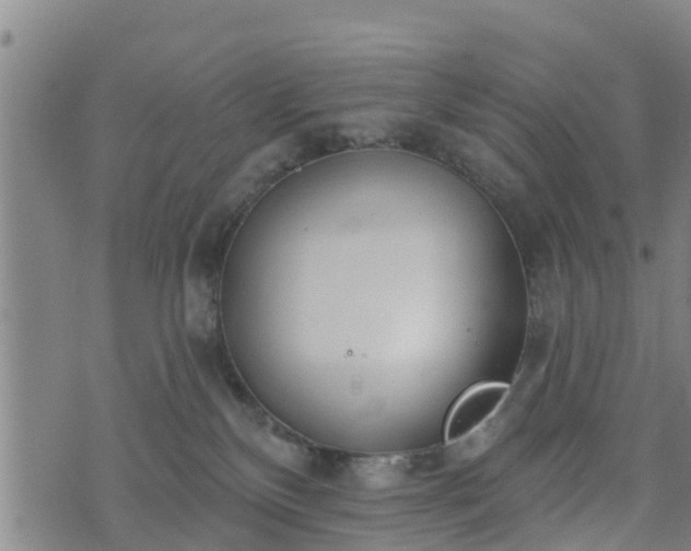 X0000074940136200609081400