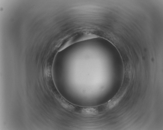 X0000074940137200609081400