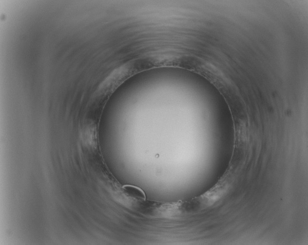 X0000074940138200609081400