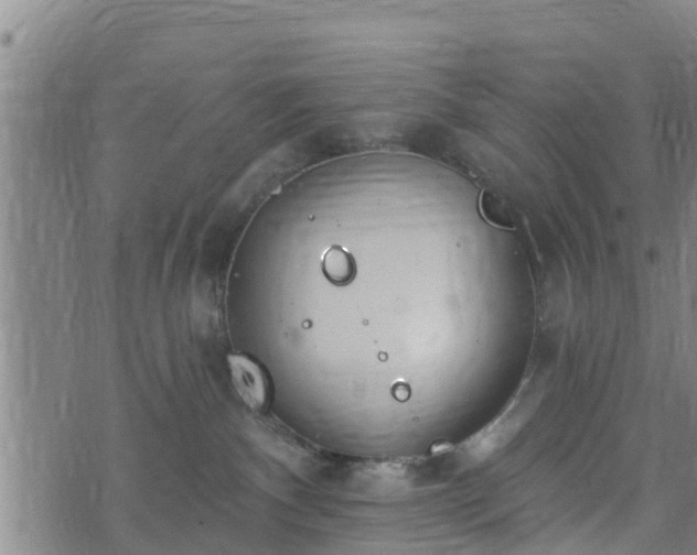 X0000074940140200609081400