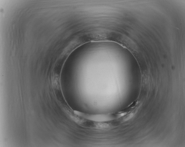 X0000074940141200609081400