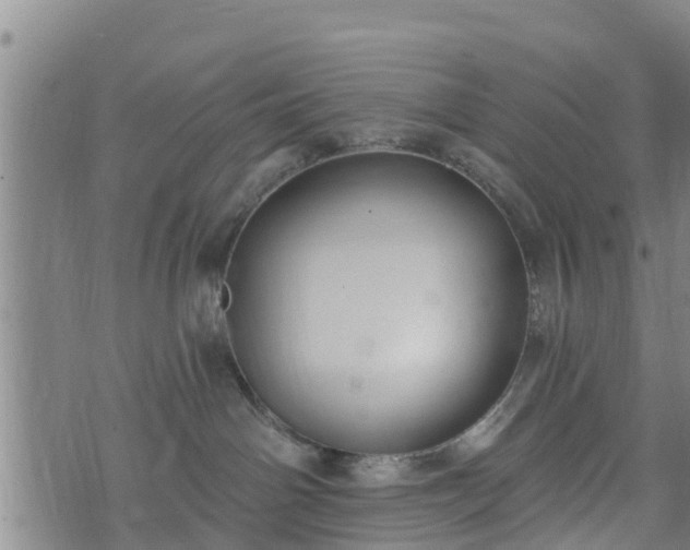 X0000074940142200609081400