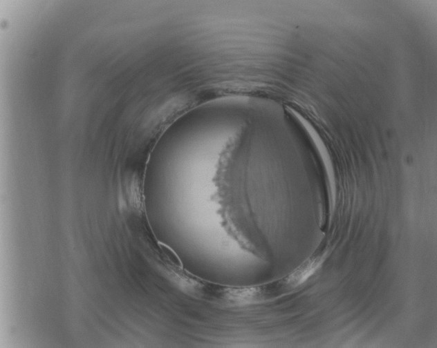 X0000074940143200609081400