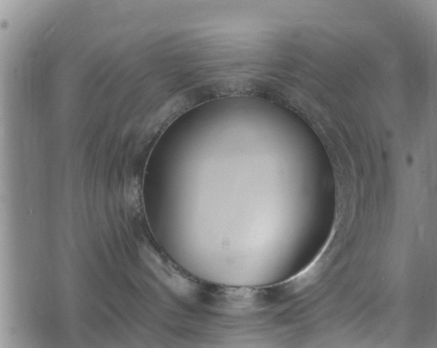 X0000074940144200609081400