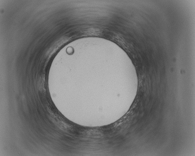 X0000074940146200609081359