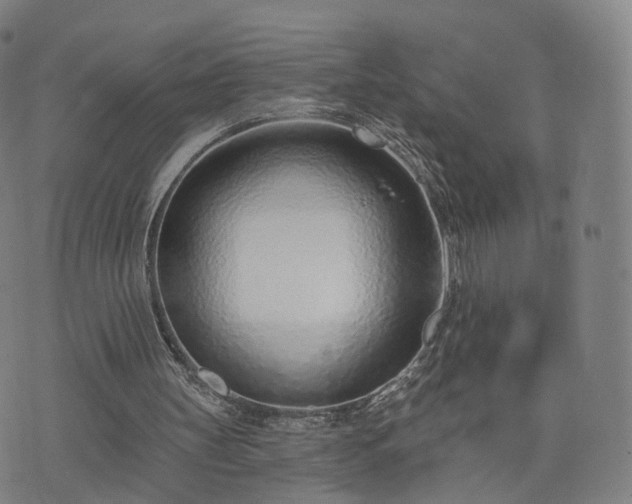 X0000074940147200609081359