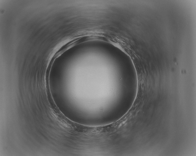 X0000074940148200609081359