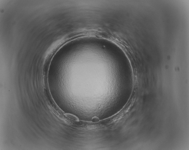 X0000074940149200609081359