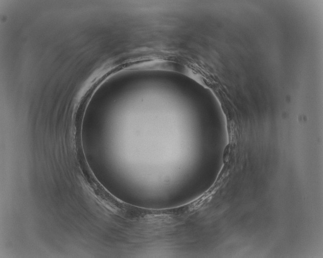 X0000074940150200609081359