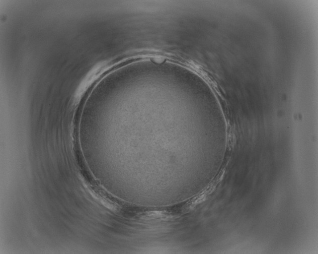 X0000074940151200609081359