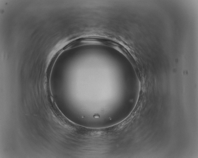 X0000074940152200609081359