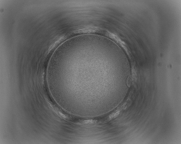 X0000074940153200609081359