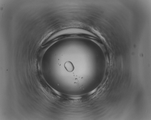 X0000074940154200609081359