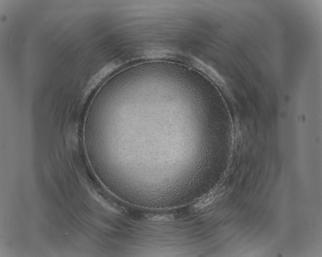 X0000074940155200609081359