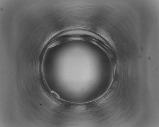 X0000074940156200609081359