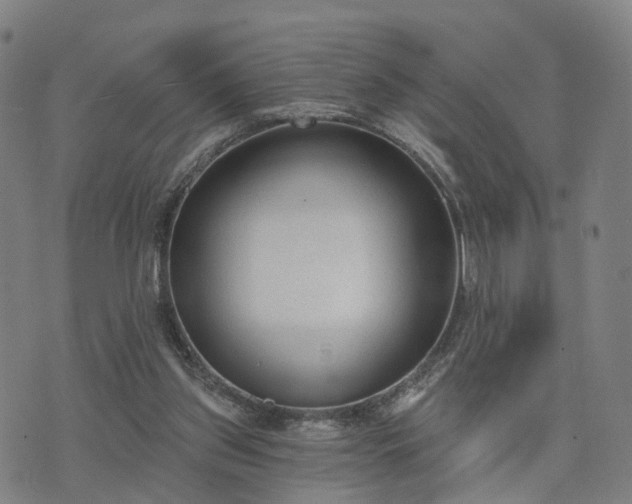 X0000074940157200609081359