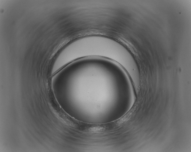 X0000074940158200609081400