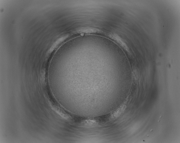 X0000074940159200609081400