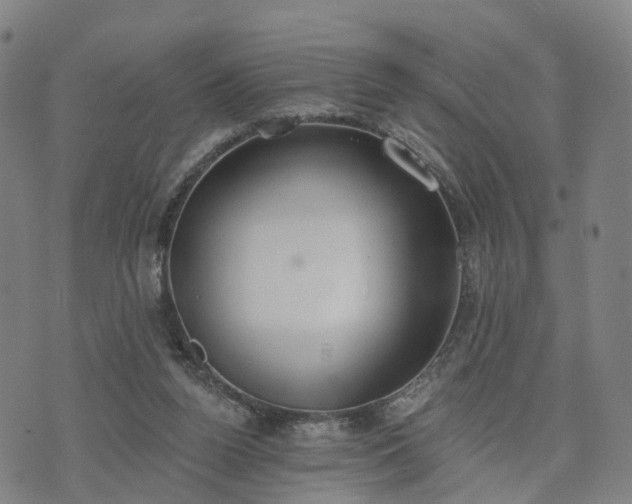 X0000074940160200609081400