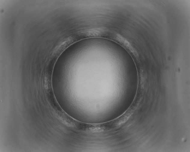 X0000074940161200609081400