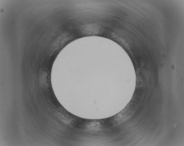 X0000074940162200609081400