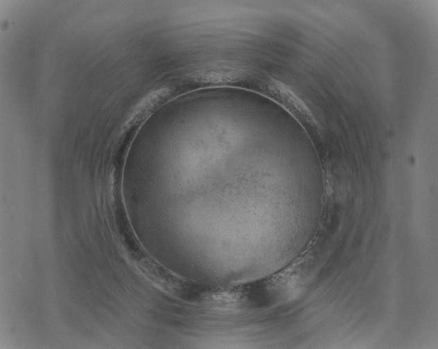 X0000074940163200609081400