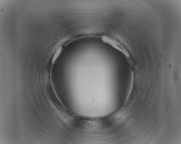 X0000074940164200609081400