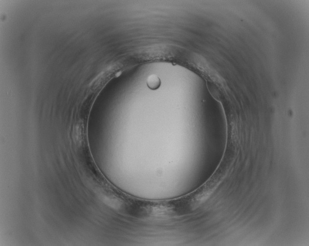 X0000074940165200609081400