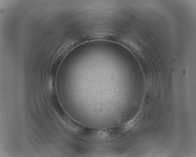 X0000074940166200609081400